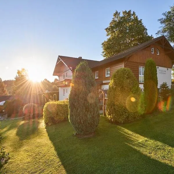 Penzion U Černého kohoutka，位于Zdíkov的酒店