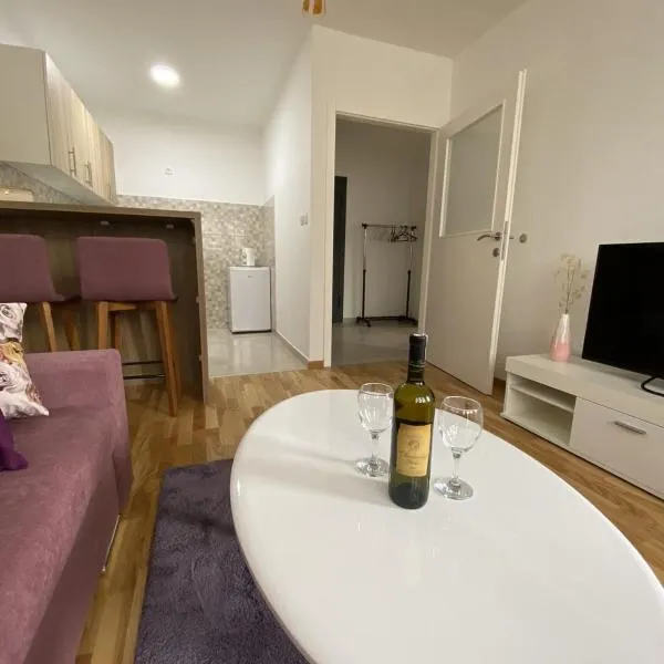 Apartman Andrej，位于Vranješ的酒店