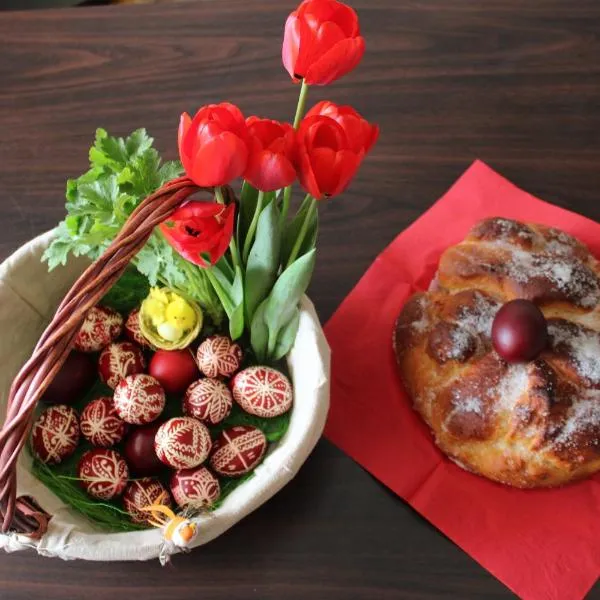 Старата Тонина къща，位于多布里尼什特的酒店