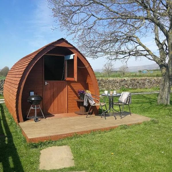 Sunny Mount Glamping Pod，位于Temple Sowerby的酒店