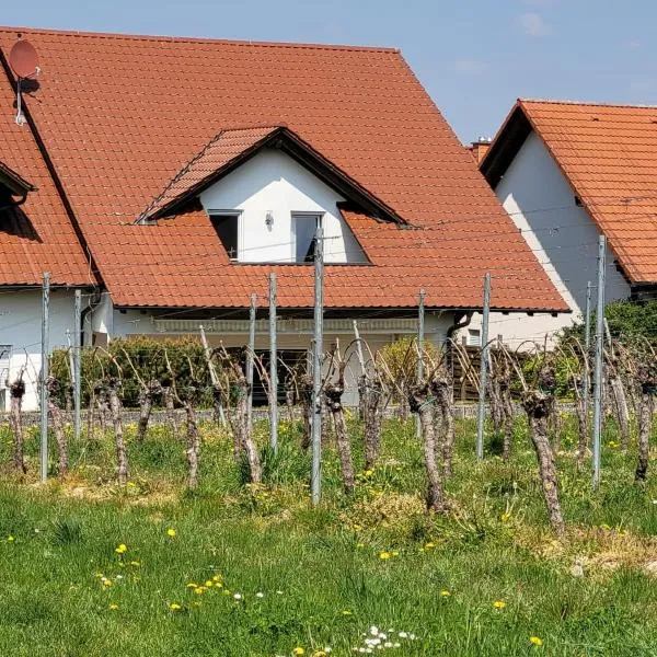 Ferienhaus Vongerichten，位于Böllenborn的酒店