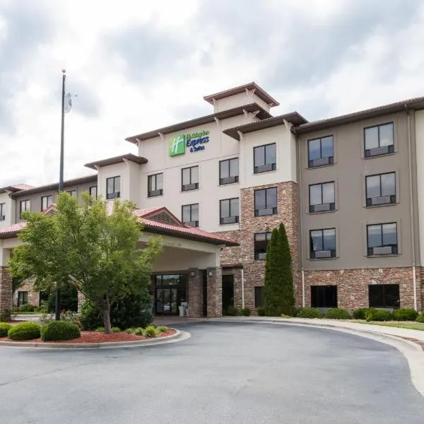 Holiday Inn Express & Suites Lexington North West-The Vineyard, an IHG Hotel，位于托马斯维尔的酒店