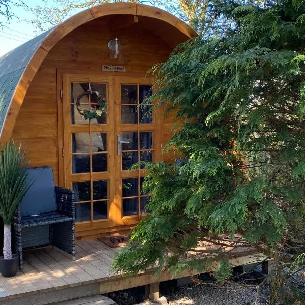 Pinkys Pod at Rock Lodge，位于阿尼克的酒店