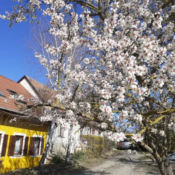 Éva Vendégház，位于塔塔的酒店