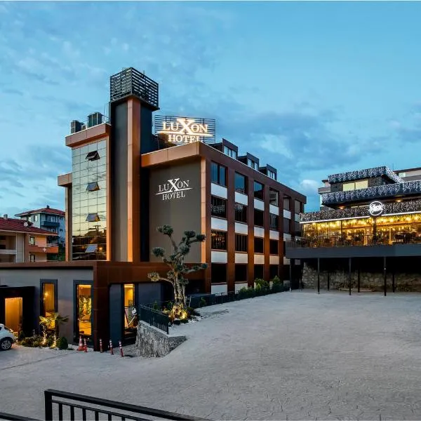 Luxon Hotel Sakarya，位于萨卡里亚的酒店