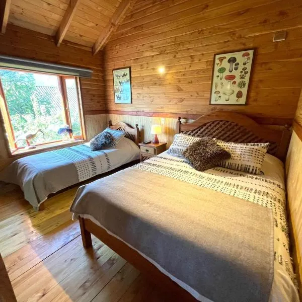 Hostal Pucon Sur，位于普孔的酒店