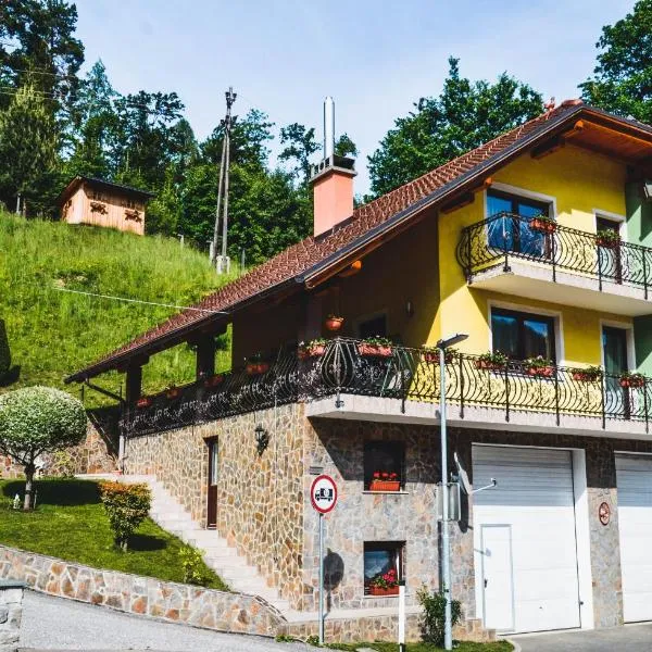 Apartmaji Krebs，位于Črna na Koroškem的酒店