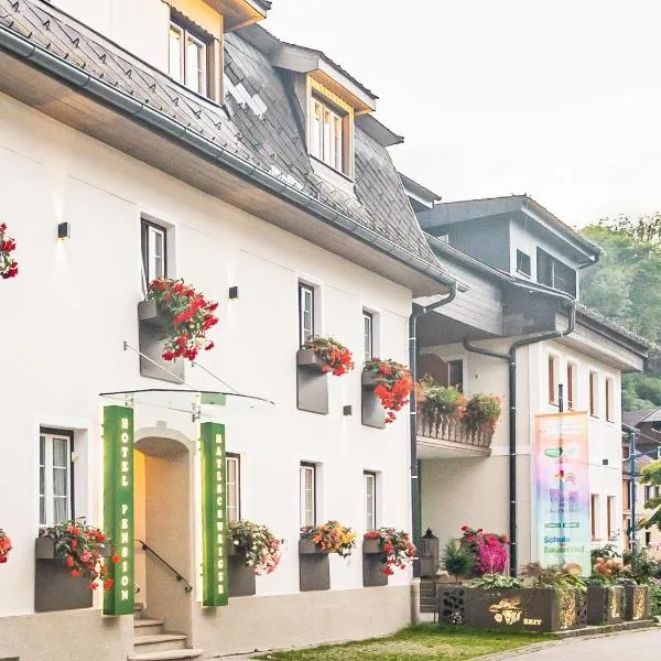 Bio-Bauernhof-Hotel Matlschweiger，位于Lassing的酒店