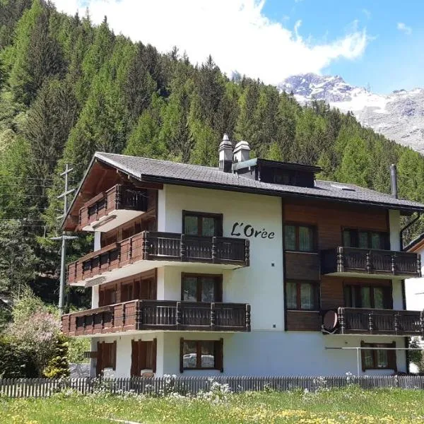 FREE cable car & bus in the summer Haus L'oree，位于萨斯格伦德的酒店