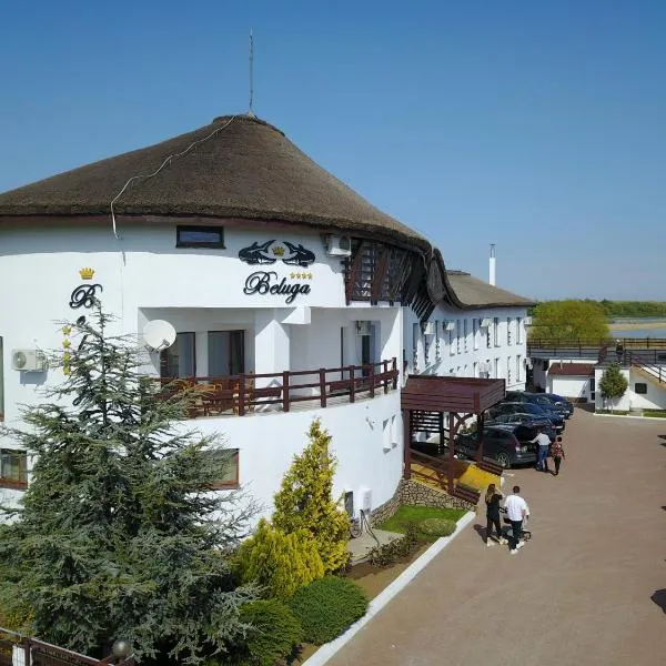 Pensiunea Beluga，位于Uzlina的酒店