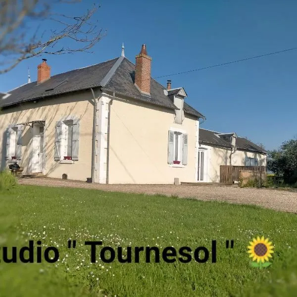 studio " tournesol " au coeur du Berry，位于Giroux的酒店