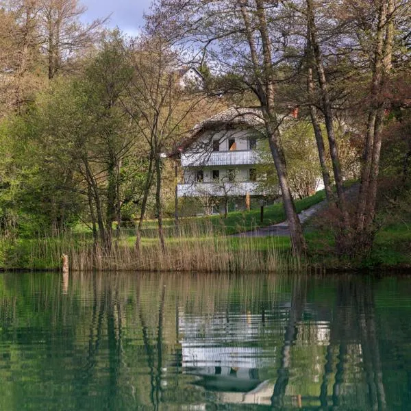 Lake House Sebanc，位于Blejska Dobrava的酒店