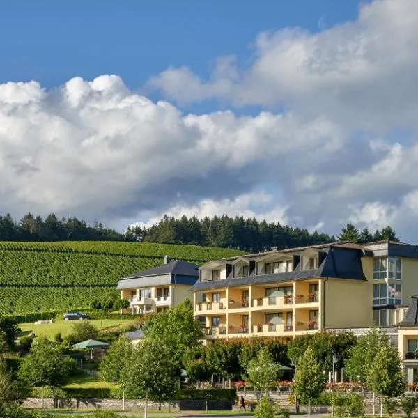维斯酒店，位于Farschweiler的酒店