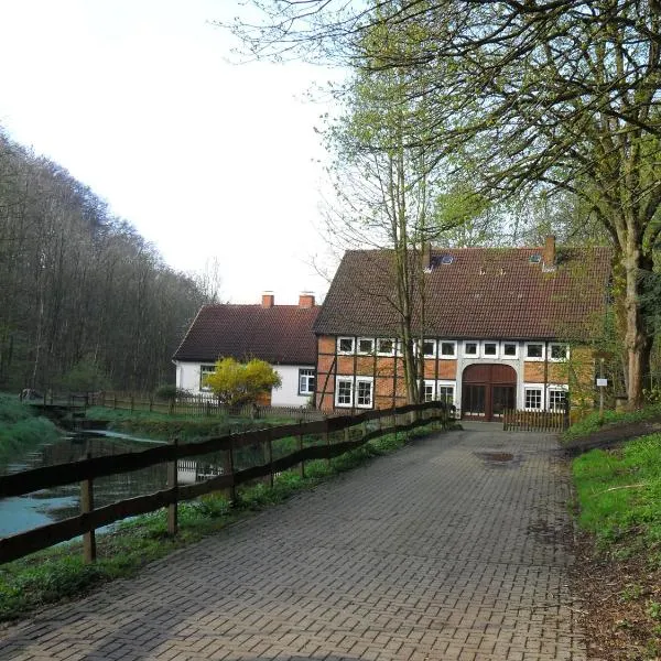 Höllenmühle Bed & Breakfast at the Mill Pond，位于黑森奥尔登多夫的酒店
