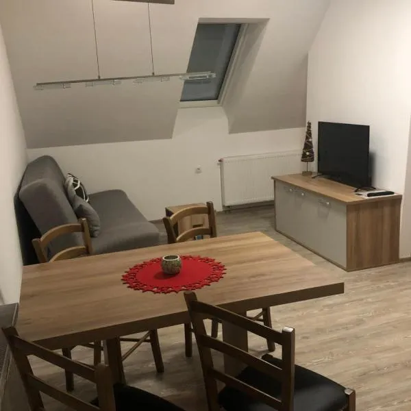 Apartmaji Kramar Rateče，位于克拉尼斯卡戈拉的酒店