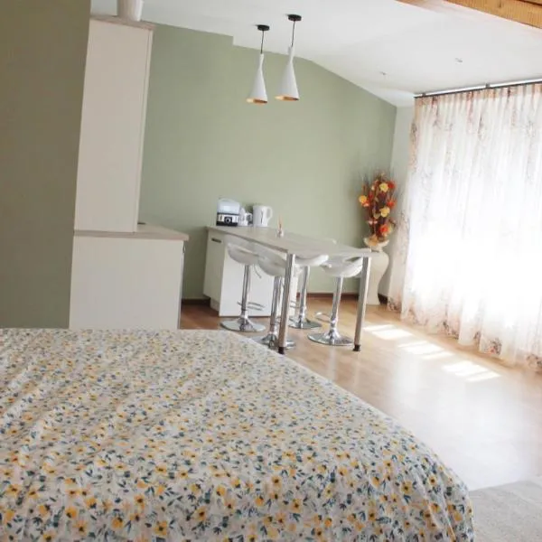 Saint Etienne : appartement Châteaucreux 40 M2，位于圣艾蒂安的酒店