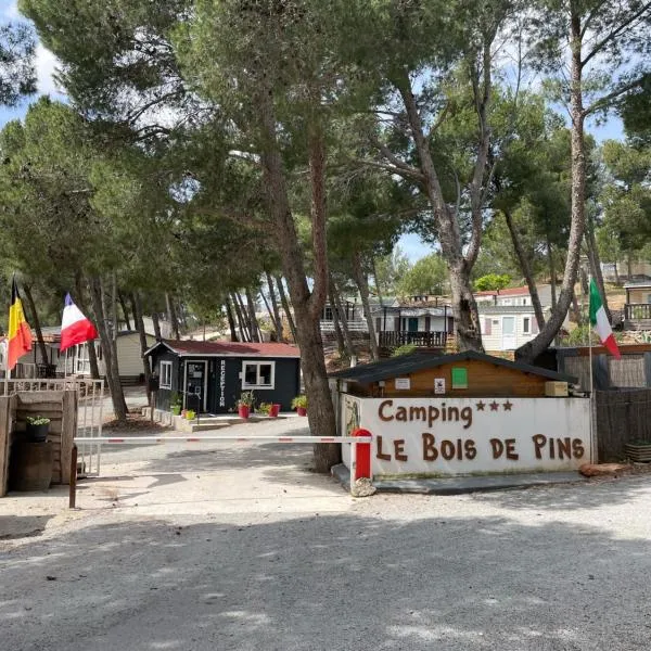 Camping Le Bois De Pins，位于萨勒斯勒沙托的酒店