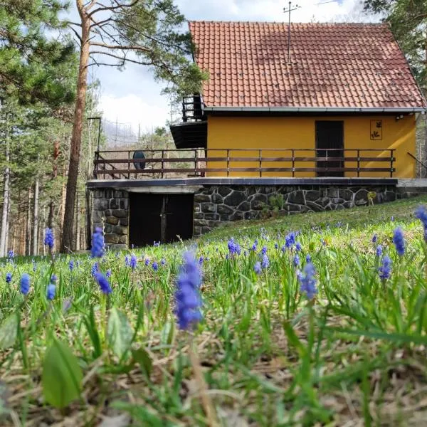 Planinska kuća Čudesni bor，位于迪瓦伊巴雷的酒店