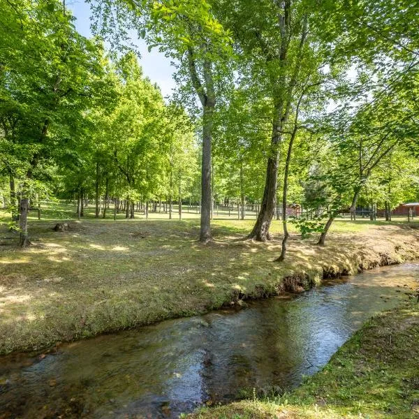 Cobb Creek Cabins，位于布莱尔斯维尔的酒店