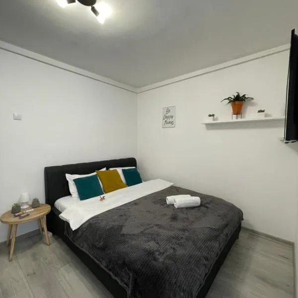 Cozy Studio Apartament Zalau，位于札勒乌的酒店