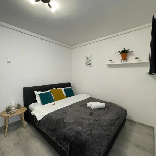 Cozy Studio Apartament Zalau，位于Şamşud的酒店