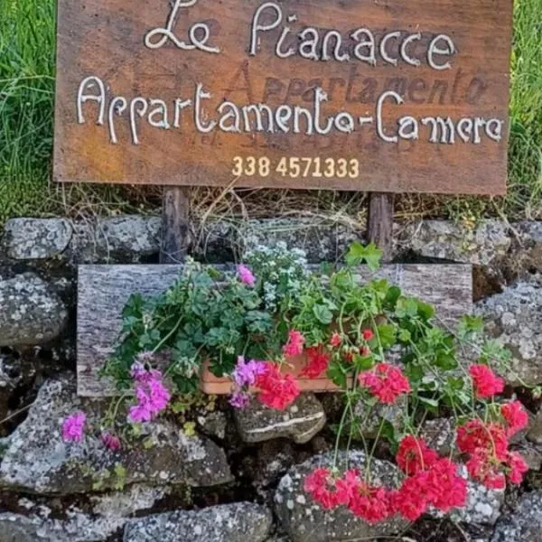 LE PIANACCE - Appartamento per vacanze，位于卡斯蒂廖内迪加尔法尼亚纳的酒店