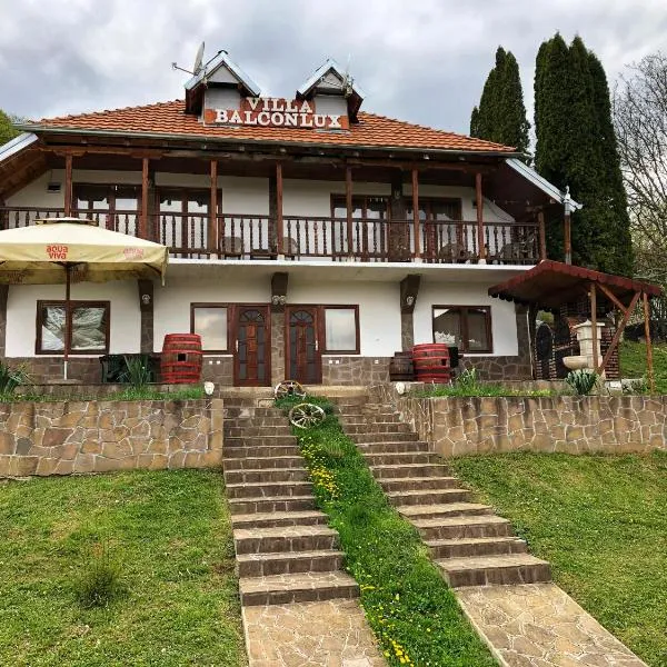 Villa Balconlux - Zavojsko jezero, Pirot，位于Zaskovci的酒店