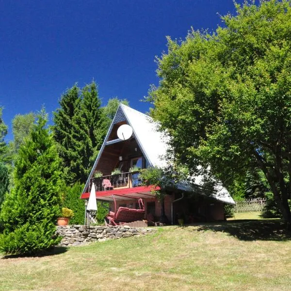 Finnhütte im Herzen des Thüringer Wald/ Haus Alwin，位于Heidersbach的酒店