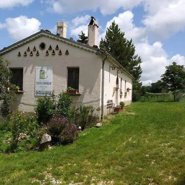 Agriturismo Masseria Testa Ciruglio，位于Castelvetere in Val Fortore的酒店