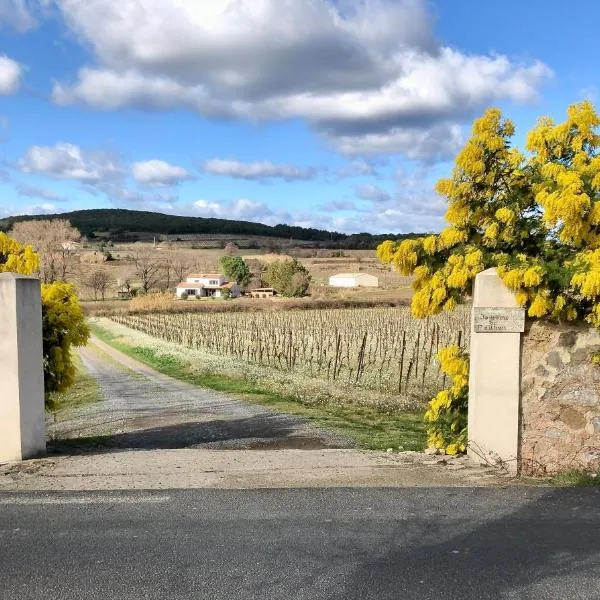 Domaine de Peilhan，位于Roujan的酒店