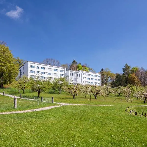Le Domaine (Swiss Lodge)，位于Düdingen的酒店