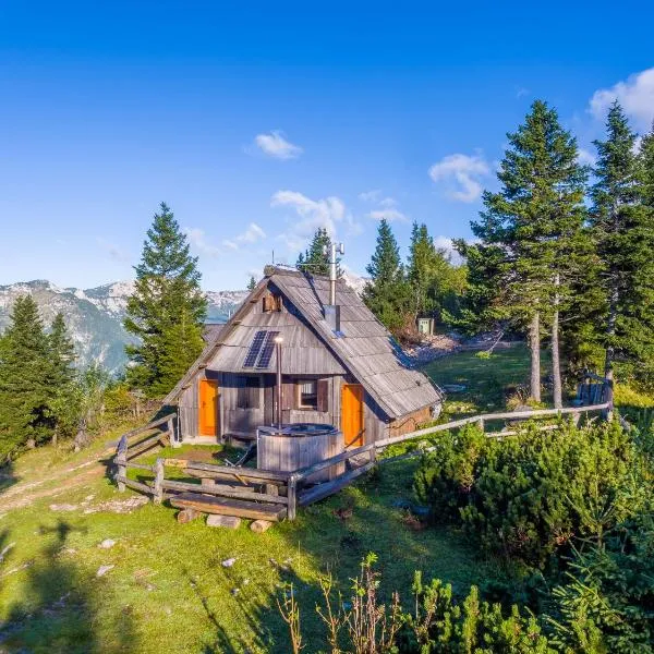 Chalet Encijan - Velika planina，位于Stahovica的酒店