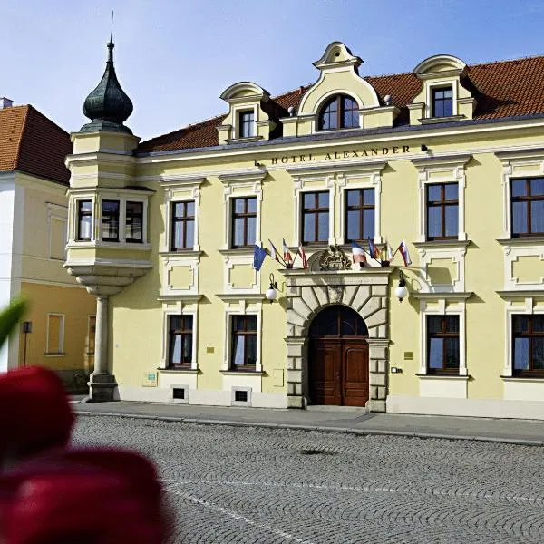 亚历山大酒店，位于Kostelec的酒店