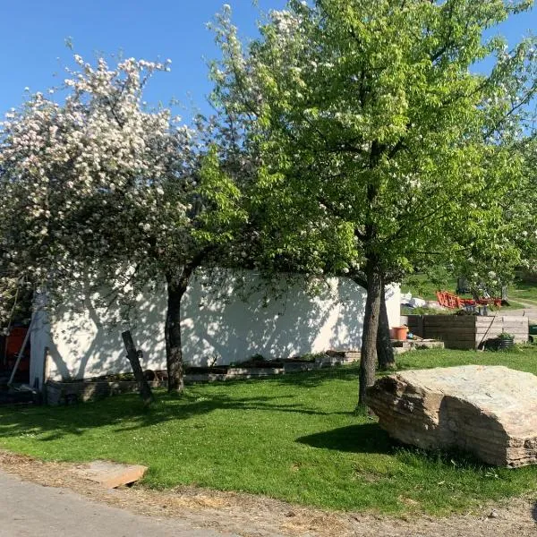 Ferienwohnung Waldköhlerei，位于Michelbach的酒店