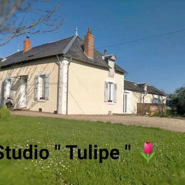 studio ''tulipe'' dans le Berry，位于Giroux的酒店