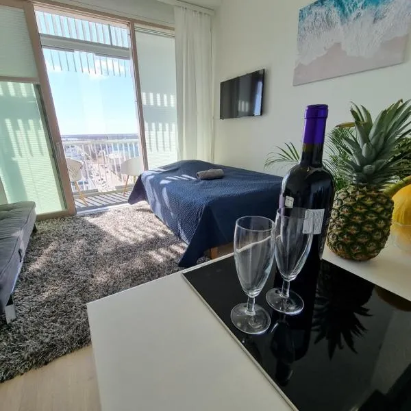 Penthouse in the Oulu center，位于奥卢的酒店