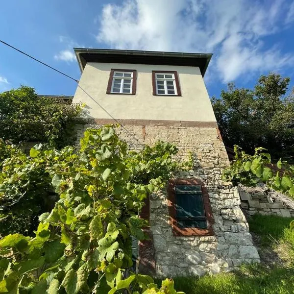 Ferienhaus Traminer im Weinberg，位于弗赖堡的酒店