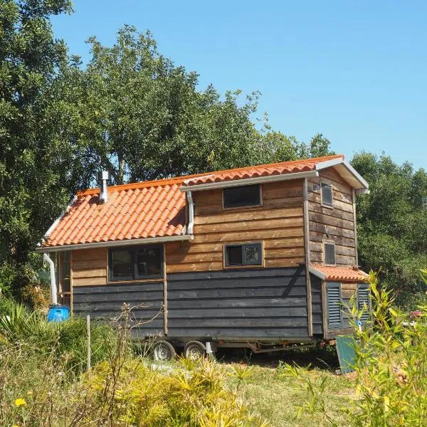 Tiny house eco resort，位于Estevais的酒店