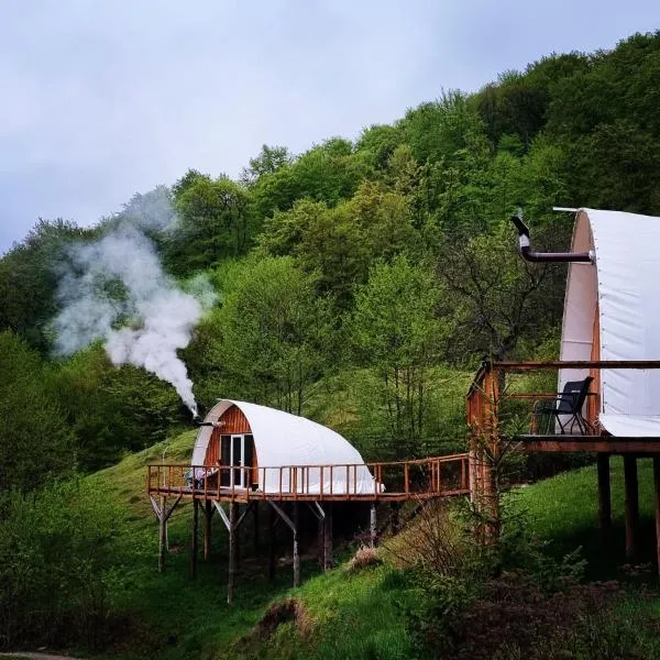 Sunrise Glamping Retreat，位于Domneşti的酒店