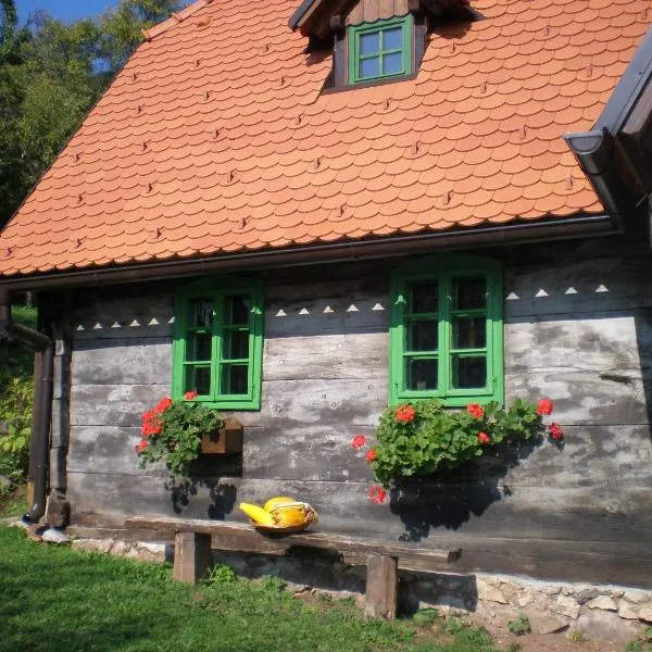 APARTMANI Etno kuća pod Okićem，位于Gornji Desinec的酒店