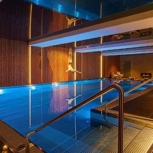 Hotel Bedriska Wellness Resort & Spa，位于维特科维采的酒店