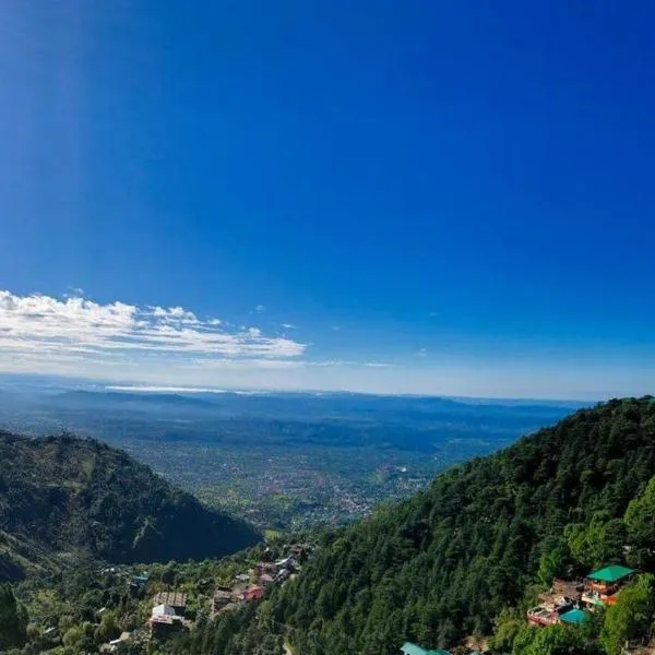 Hotel Norbu House，位于麦罗肯机的酒店