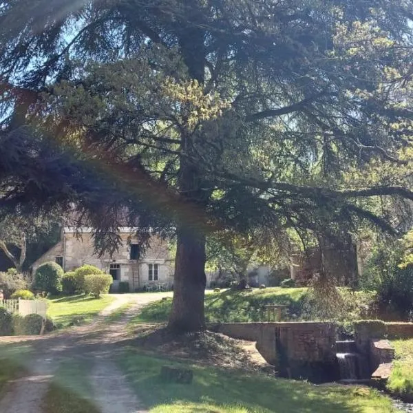 Le moulin du Mesnil，位于塞雷拉龙德的酒店