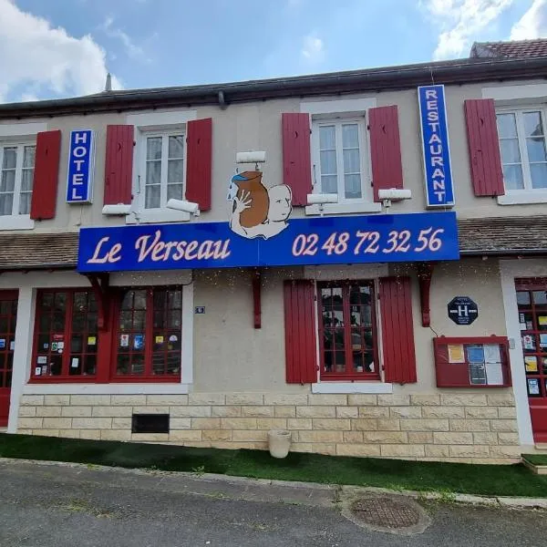 维萨酒店，位于Sury-près-Léré的酒店