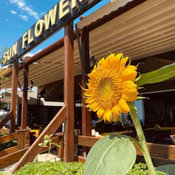 Sun Flower Apart Hotel，位于锡德的酒店