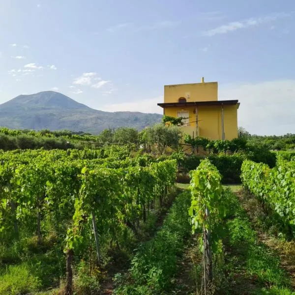 Vesuvio Inn Guest House e Wine Experience，位于博斯科特雷卡塞的酒店