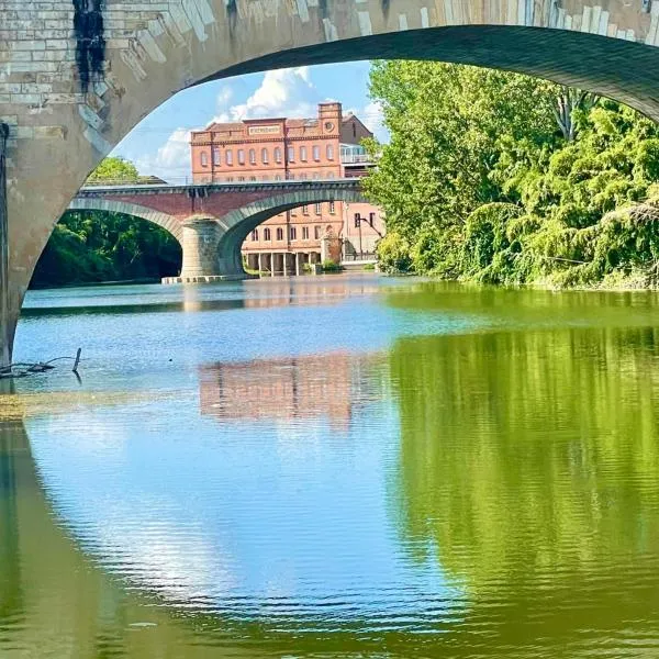 Moulin d'Albias aux portes de Montauban，位于Albias的酒店