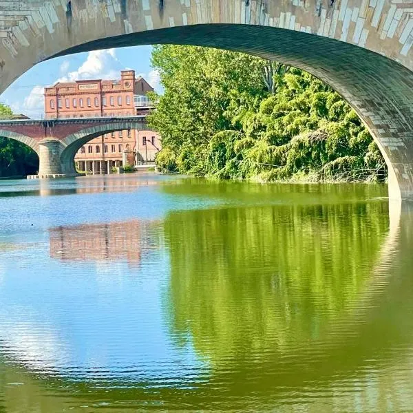 Moulin d'Albias aux portes de Montauban，位于Albias的酒店