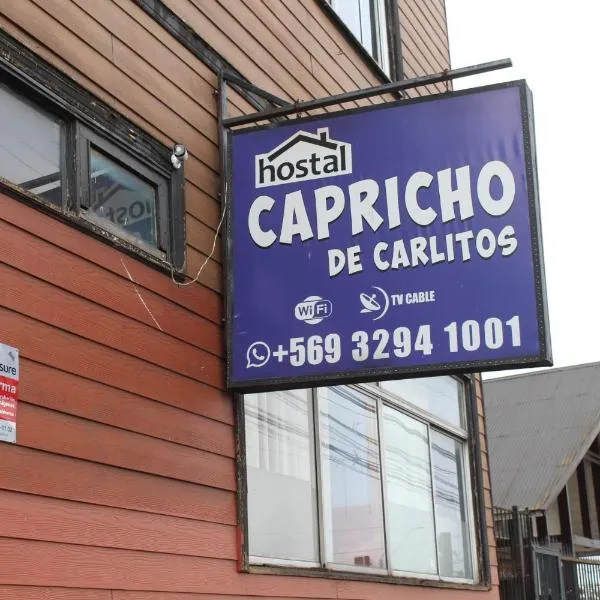 Hostal Capricho de Carlitos，位于瓦尔迪维亚的酒店