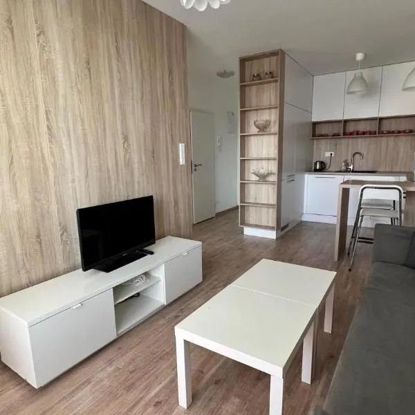 2 room apartment with terrace, Prievozska street，位于Trnávka的酒店